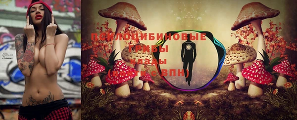 амфетамин Белокуриха